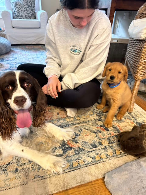 Brown and & brown family