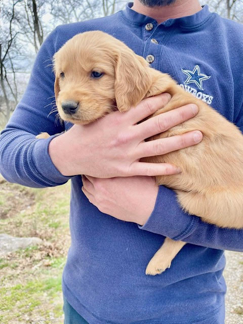 Meet Pele & the Bagwell Family